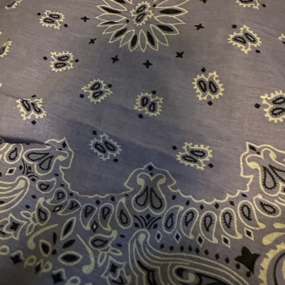 YASHICA PAISLEY PRINT SCARF - Picture 7 of 7